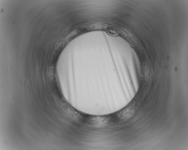 X0000069400326200606021703