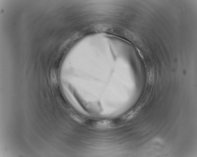 X0000069400335200606021703