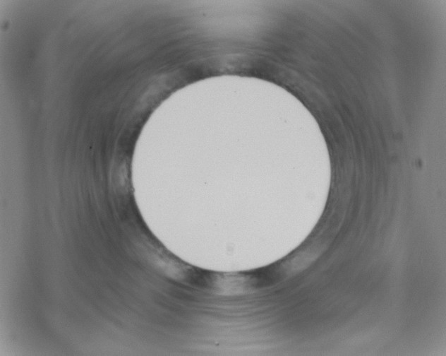 X0000069400336200606021703