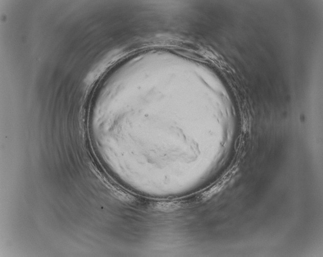 X0000069400341200606021702