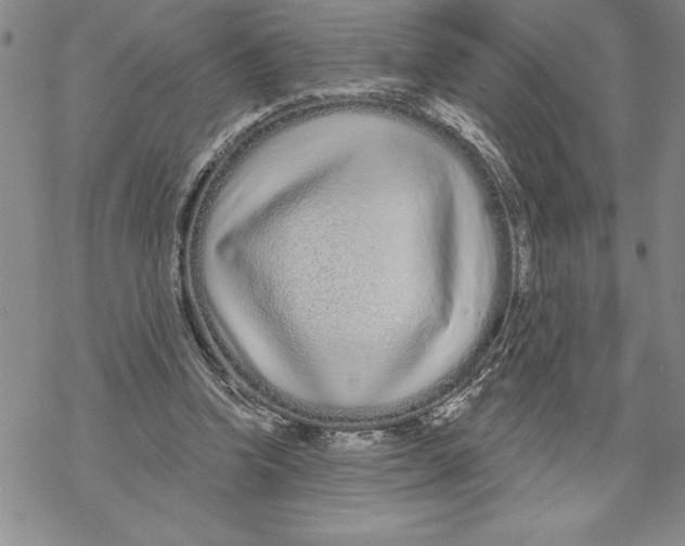 X0000069400346200606021702
