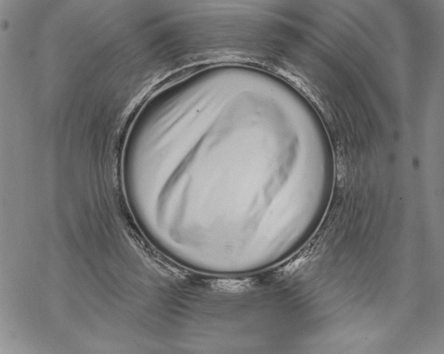 X0000069400347200606021702