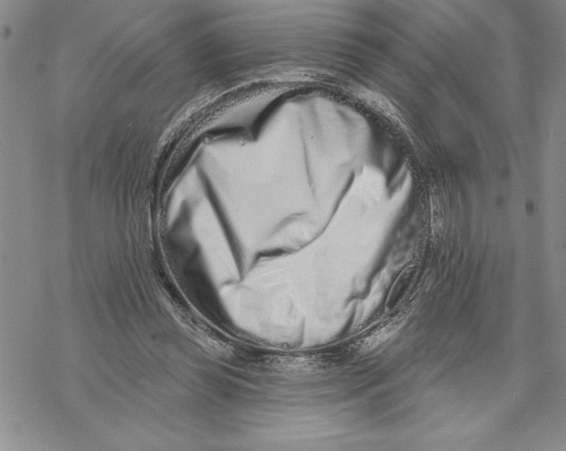X0000069400349200606021702