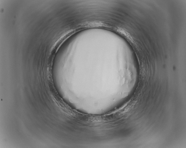 X0000069400351200606021702