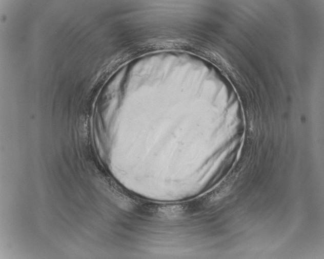 X0000069400357200606021702