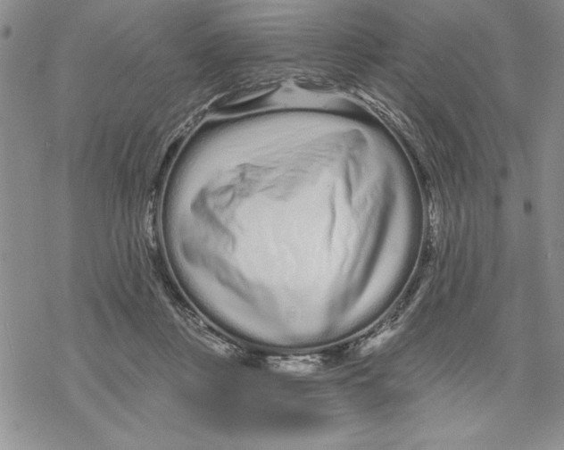 X0000069400359200606021702