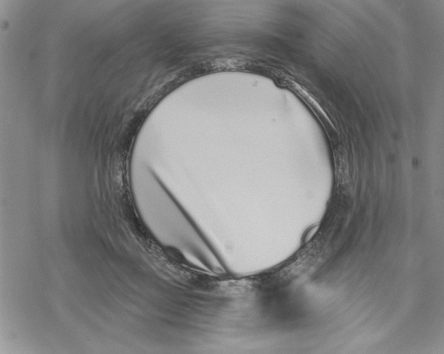 X0000069400363200606021702