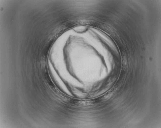 X0000069400367200606021702