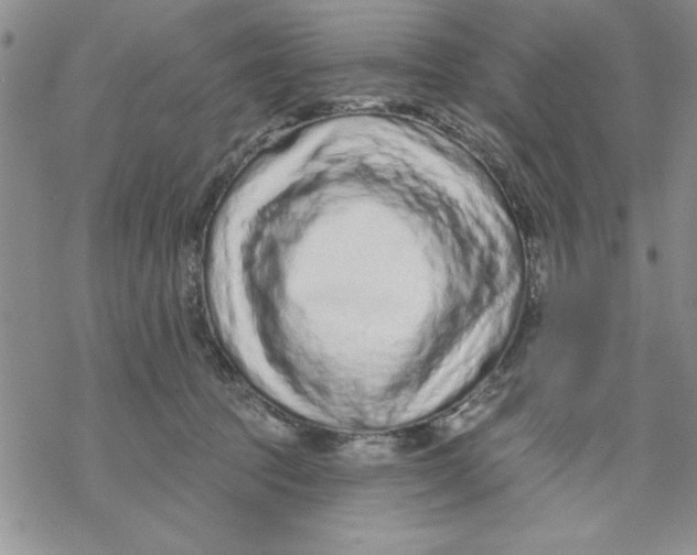 X0000069400369200606021702