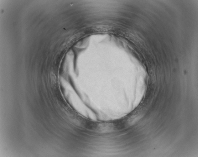 X0000069400371200606021702