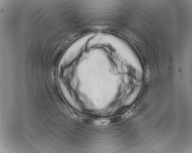 X0000069400373200606021702