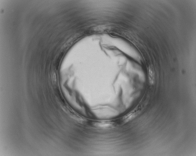 X0000069400375200606021702