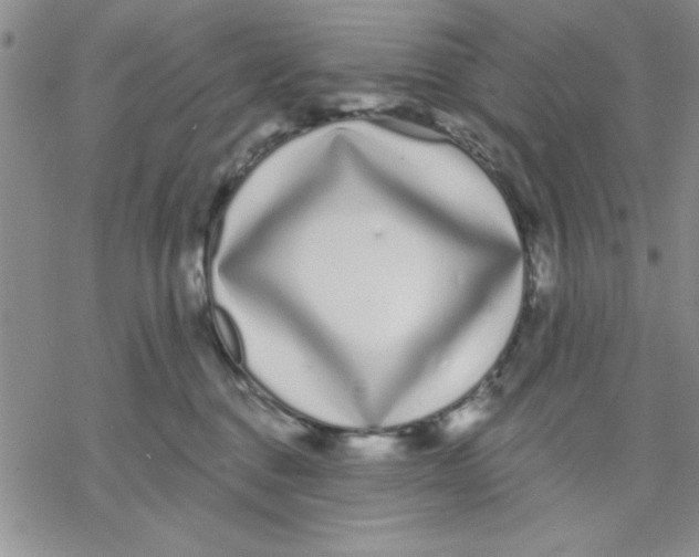 X0000069400376200606021702