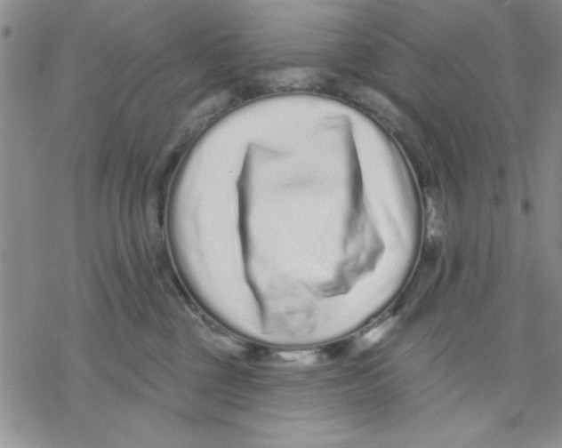 X0000069400377200606021702
