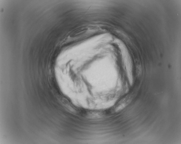 X0000069400381200606021703