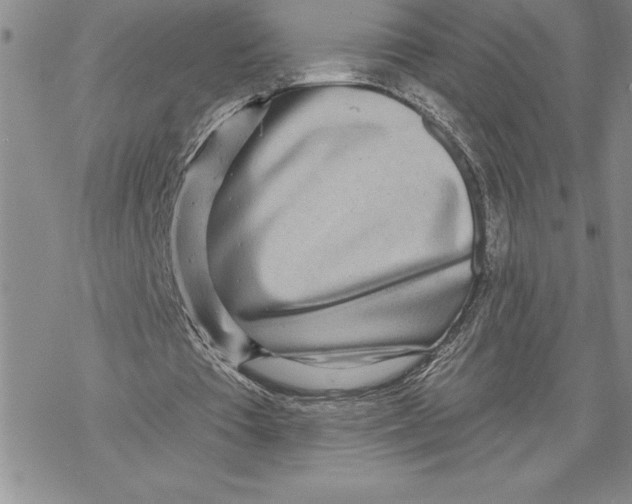 X0000069400385200606021702