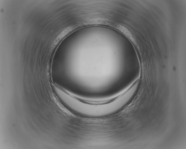 X0000069400389200606021702