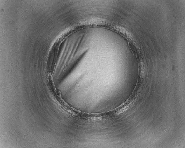 X0000069400392200606021702