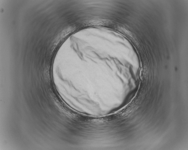 X0000069400394200606021702