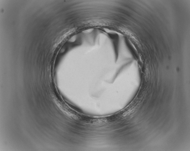 X0000069400398200606021702