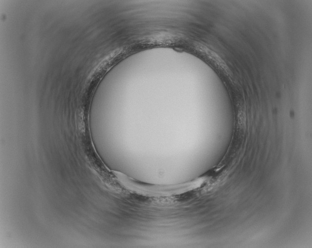 X0000069400403200606021701