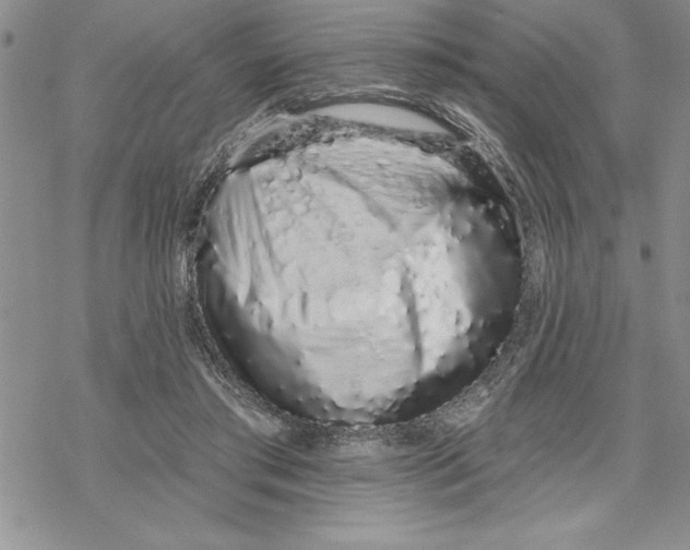 X0000069400405200606021701