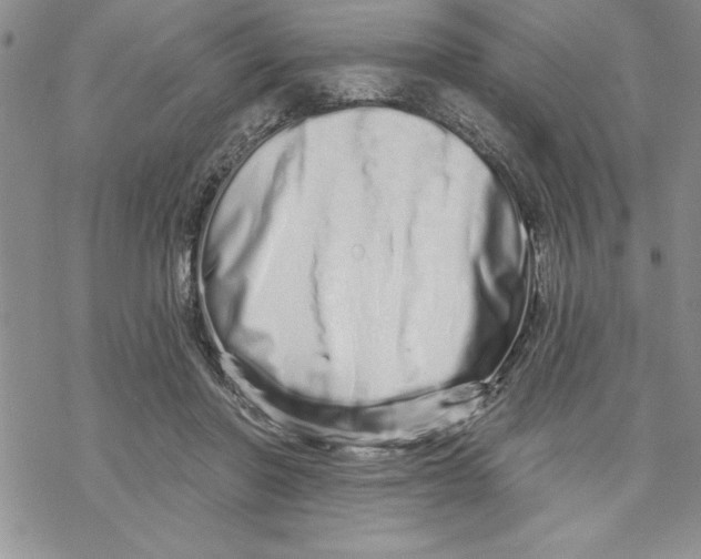 X0000069400406200606021701