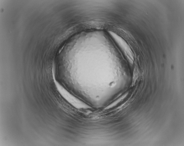 X0000069400409200606021701