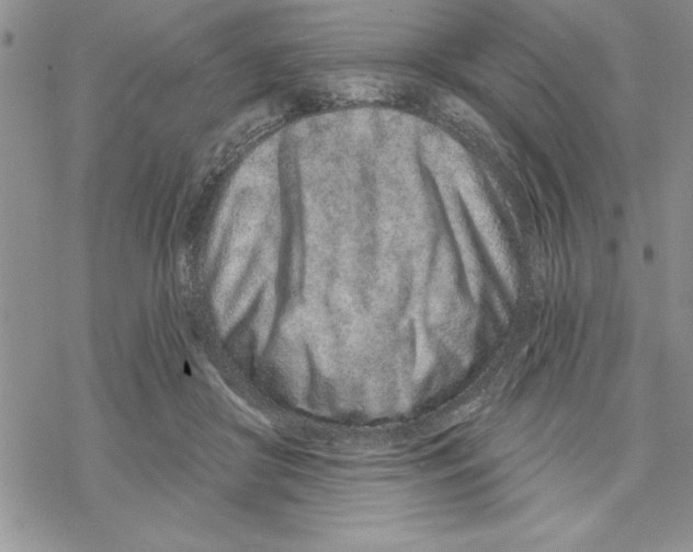 X0000069400410200606021701