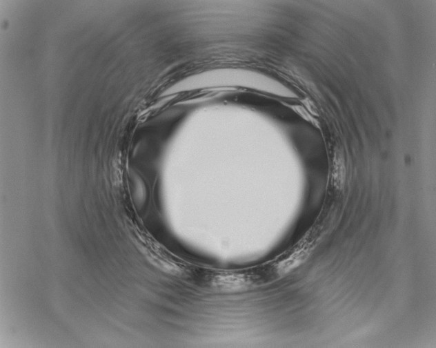 X0000069400413200606021701