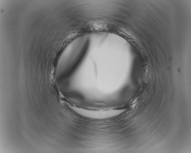 X0000069400417200606021701
