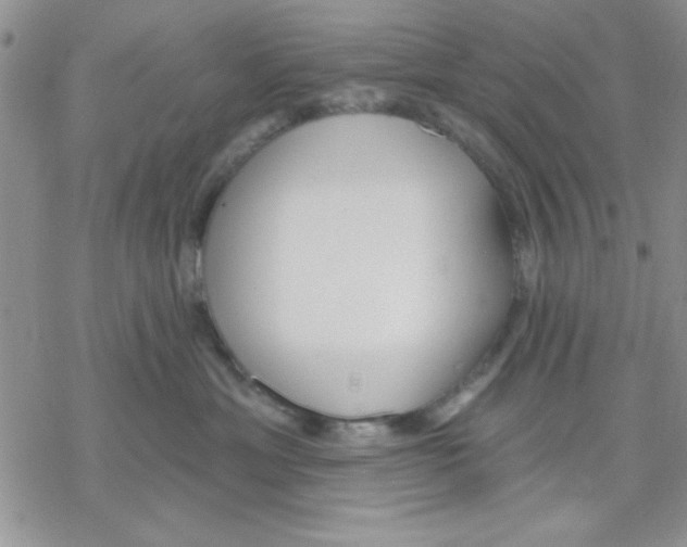 X0000069400429200606021701