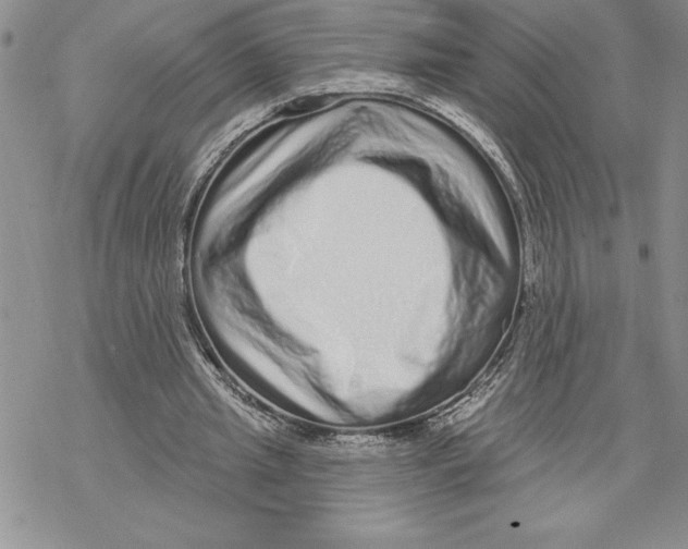 X0000069400437200606021700