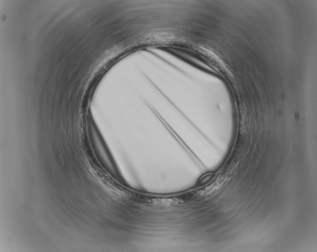 X0000069400439200606021700
