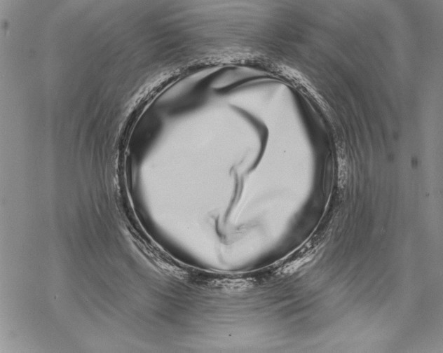 X0000069400443200606021700