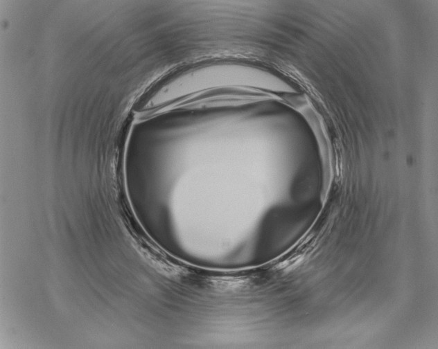X0000069400444200606021700