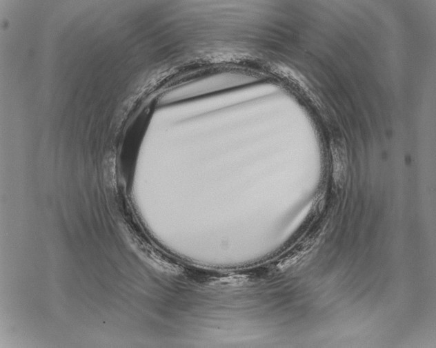 X0000069400447200606021700