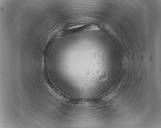 X0000069400454200606021701