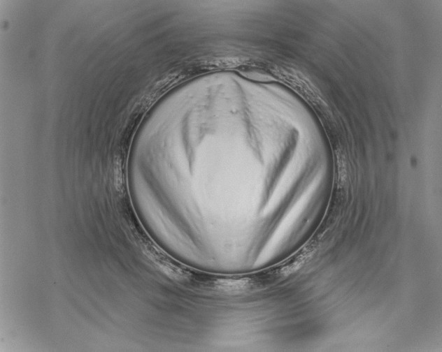 X0000069400457200606021701