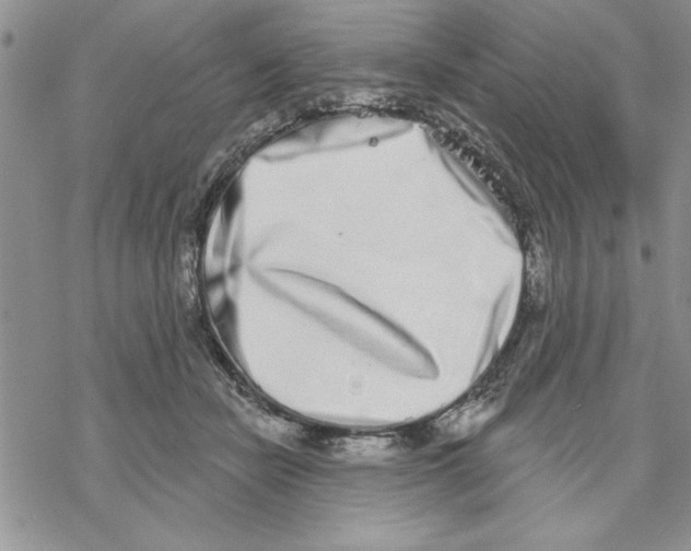 X0000069400462200606021701