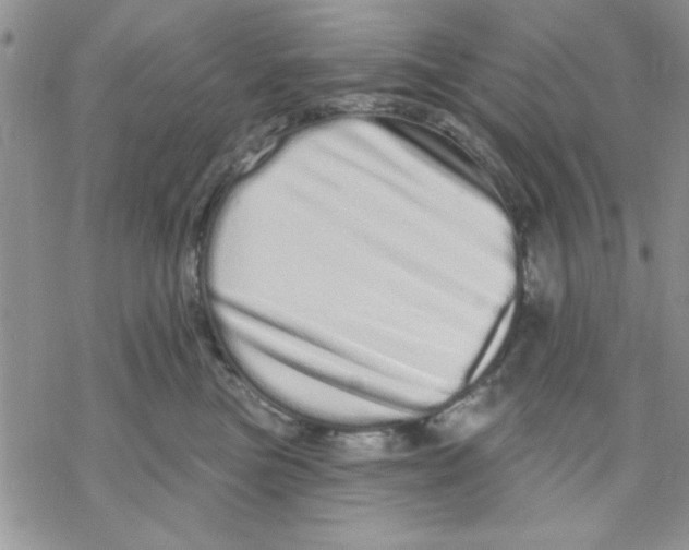 X0000069400473200606021701