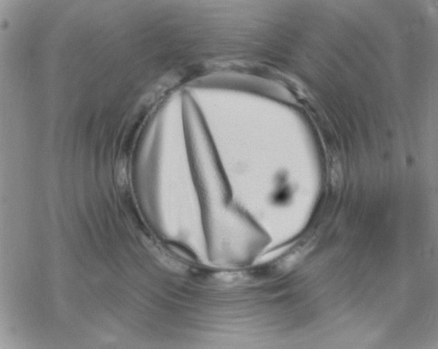 X0000069400477200606021701