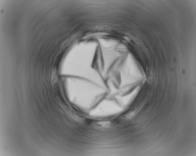 X0000069400478200606021701