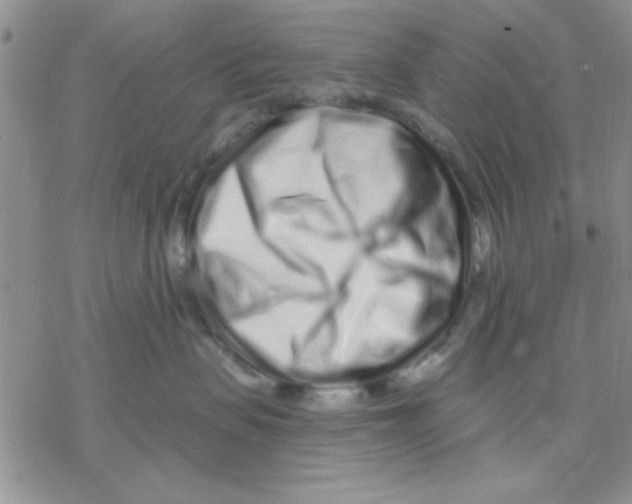 X0000069400479200606021701