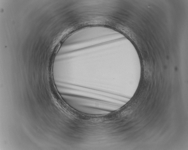 X0000069400482200606021700