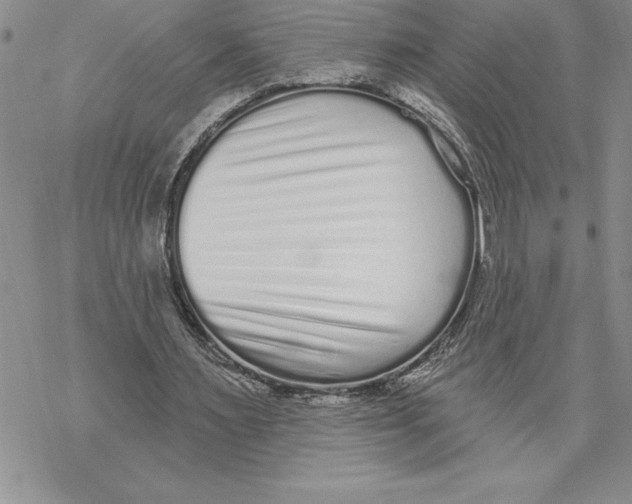 X0000069400483200606021700
