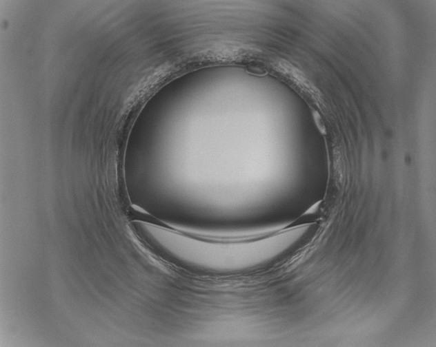 X0000069400493200606021700
