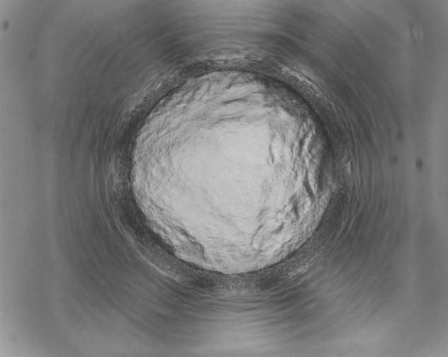 X0000069400499200606021700