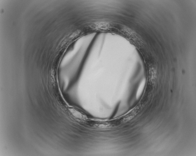 X0000069400506200606021700