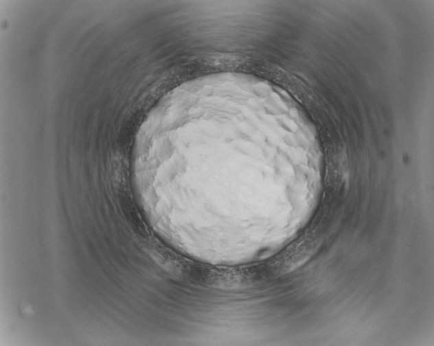 X0000069400511200606021700